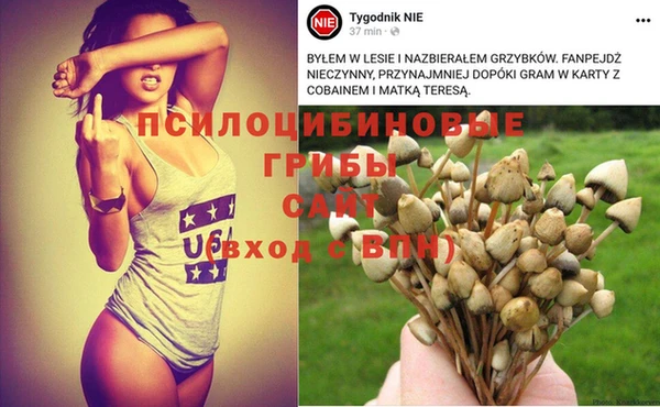 mdpv Балабаново