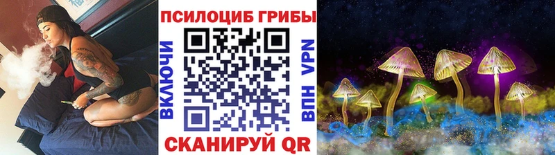Галлюциногенные грибы Psilocybe Вихоревка